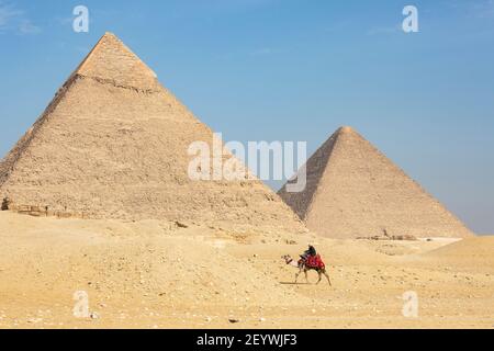 Ein lokaler Reiseleiter reitet auf einem Kamel mit den Pyramiden von Khufre und Khufu im Hintergrund, Gizeh Plateau, Groß-Kairo, Ägypten Stockfoto