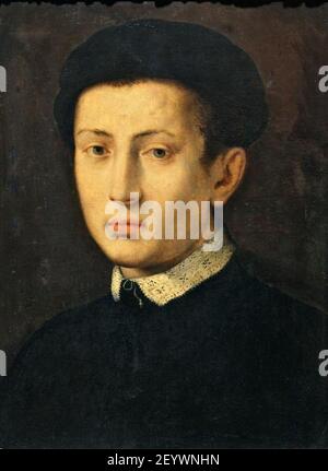 Pier Francesco di Jacopo Foschi - Ritratto di giovane uomo. Stockfoto