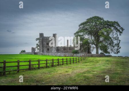 Weidezaun führt zu alten ruinierten Bective Abbey aus dem 12th. Jahrhundert mit großen grünen Baum und Feld, dunklen Himmel im Hintergrund, County Meath, Irland Stockfoto