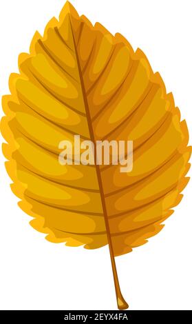 Herbst Ulme oder Buche Blatt Vektor-Symbol, Cartoon Laub, gefallen Ulmus Baum Blatt der braunen Farbe, Design-Element isoliert Naturobjekt auf weißem Hintergrund Stock Vektor