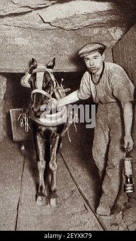 Ein altes Foto (ca. 1940), das ein Grubenpony und seinen Handler in einer britischen Kohlemine zeigt. Stockfoto