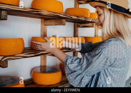 Ziegenkäse-Rad in weiblichen Händen auf Rack im Fabriklager. Mehrere reife Käseköpfe auf den Regalen in der Käserei ausgestellt Stockfoto