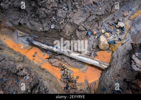 Verfallender Baumstamm, der in einem Graben mit verschmutztem Wasser liegt. Stockfoto