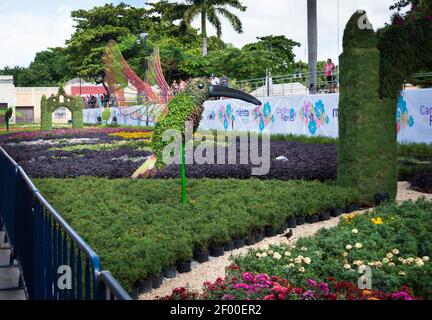 Ausstellung von Blumen- und Pflanzenskulpturen in Merida, Yucatan, Mexiko. Kolibri Pflanze Skulptur umgeben von Blumenbeeten. Stockfoto