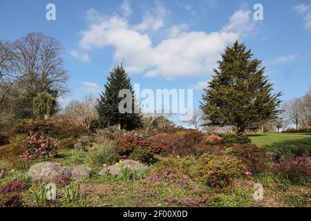 Eine kühne Ausstellung von Blumen in der Frühsaison im Devonport Park in Plymouth wird oft als der Volkspark bezeichnet. Stockfoto