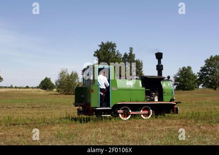 Polen, Plociczno, Wigry Schmalspurbahn, woiwodschaft Podlasie. Stockfoto