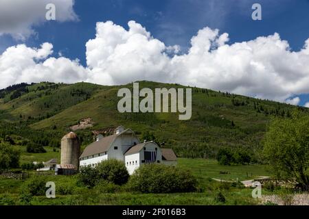 McPolin Farm Open Space wurde von den Bürgern von Park City in Utah dauerhaft als Freiraum geschützt. Stockfoto