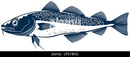 Codfish Süßwasser Gamefish Fisch isoliert monochrome Symbol. Vektor europäisch, Balkhasch oder gelben Barsch, Fluss oder See Tier, Walleye Zander oder scumbida Stock Vektor