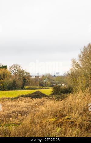 Zeigt den Cardinal Telephone Exchange Wolkenkratzer, Hecken, große Bäume, grasbewachsenen Land, und eine Feldlandschaft, Leicester Stadtzentrum von weit weg. Stockfoto