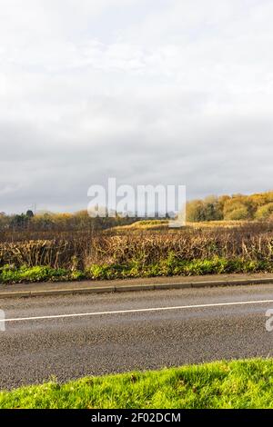 Zeigt den Wolkenkratzer der Cardinal Telephone Exchange, eine Landstraße, Hecke, große Baum- und Feldlandschaft. Leicester Stadtzentrum von weit weg. Stockfoto