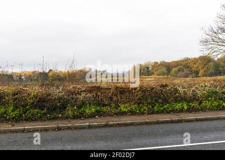 Zeigt den Wolkenkratzer der Cardinal Telephone Exchange, eine Landstraße, Hecke, große Baum- und Feldlandschaft. Leicester Stadtzentrum von weit weg. Stockfoto