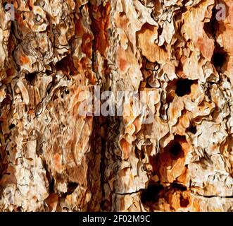 Barck in der abstrakten Nahaufnahme einer Baumfarbe Und Textur Stockfoto