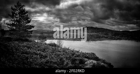 Loch na Bà Ruaidhe, oder "das loch der roten Kuh", liegt direkt am nördlichen Rand von Glen Urquhart nicht weit von Drumnadrochit in der Nähe der Straße nach Bea Stockfoto