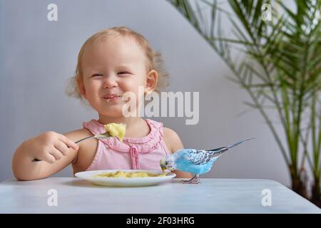 Ein kleines Mädchen mit einem blauen Budgerigar (Hausschwein) Papagei isst von der gleichen Platte. Das Konzept der Freundschaft und der Pflege von Haustieren. Stockfoto