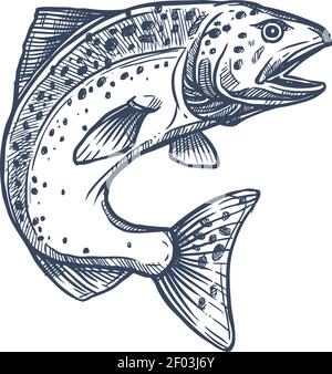 Atlantischer Lachs-Rochenflocken-Fisch in der Familie Salmonidae isolierte monochrome Skizze. Vector Forelle, Saibling, Äsche und Weißfische im Sprung, Angeln Sport tro Stock Vektor