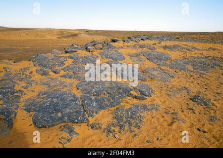 Altes Fossil in der Wüste von marokko Stein Stockfoto