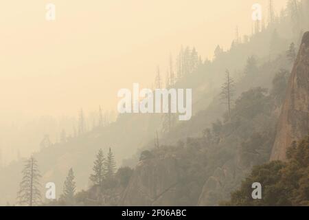 Steile Felsklippe mit Steinen mit Nadelbäumen bedeckt befindet In gebirgigem Gelände gegen nebligen Himmel in den USA im düsteren Wetter Stockfoto