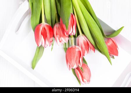Rote Tulpen Blumen auf weißem Hintergrund, Draufsicht Stockfoto