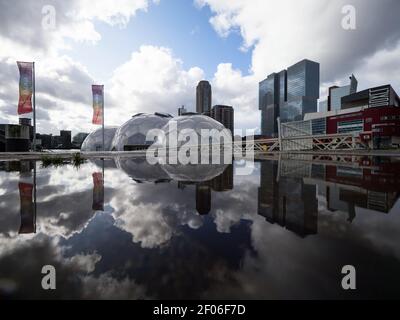 Pfütze Teich Spiegel Spiegelung der Hochhaus moderne Architektur Gebäude Wolkenkratzer Finanzviertel in Rotterdam Niederlande Südholland Stockfoto