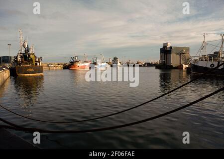 Nordsee-pelagische Trawler im Hafen von Peterhead in der Abendsonne, Aberdeenshire, 2008. Stockfoto