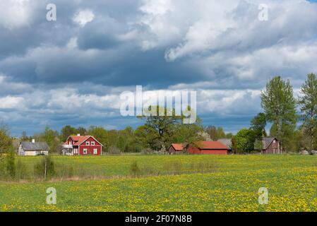 Bauernhof in der schwedischen Landschaft Stockfoto
