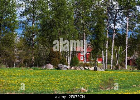 Altes rotes Bauernhaus aus Holz Stockfoto