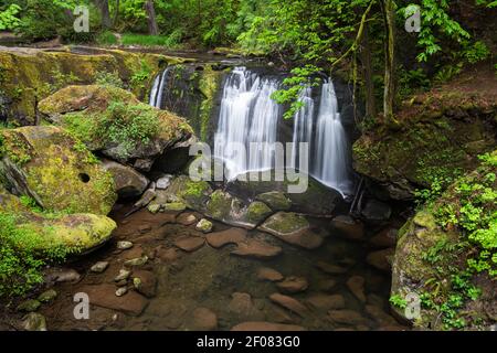 Whatcom Falls in Bellingham fließt vorbei an alten moosbedeckten Felsen Mit einem niedrigen Federzeitfluss Stockfoto