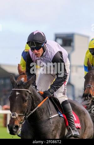 Pferderennen Großbritannien und Irland.Down Royal Racecourse, Lisburn, Nordirland. 31. Oktober 2020. Nationales Jagdtreffen. Das Ladbrokes Festival of Racing (Tag 2) Feature-Rennen war der Ladbrokes Champion Chase (Klasse 1) mit €75.000 für den Sieger und hielt hinter verschlossenen Türen.Rennpferd Chris's Dream von Robbie Power geritten und von Henry De Bromhead trainiert. Stockfoto