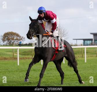 Pferderennen Großbritannien und Irland.Down Royal Racecourse, Lisburn, Nordirland. 31. Oktober 2020. Nationales Jagdtreffen. Das Ladbrokes Festival of Racing (Tag 2) Feature-Rennen war der Ladbrokes Champion Chase (Klasse 1) mit €75.000 für den Sieger und hielt hinter verschlossenen Türen. Rennpferd Delta Arbeit von Jack Kennedy geritten und von Gordon Elliott trainiert. Stockfoto