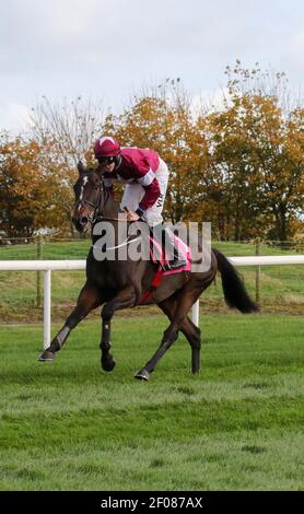 Pferderennen in Großbritannien und Irland. Auf Der Royal Racecourse, Lisburn, Nordirland. 30. Oktober 2020. Nationales Jagdtreffen. Beim Ladbrokes Festival of Racing (Tag 1) wird das Rennen WKD Hurdle (Grad 2) hinter verschlossenen Türen ausgetragen. Rennpferd Abracadabras, geritten von Jack Kennedy und trainiert von Gordon Elliott. Stockfoto