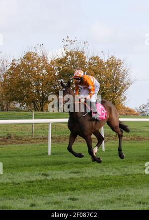 Pferderennen in Großbritannien und Irland. Auf Der Royal Racecourse, Lisburn, Nordirland. 30. Oktober 2020. Nationales Jagdtreffen. Beim Ladbrokes Festival of Racing (Tag 1) wird das Rennen WKD Hurdle (Grad 2) hinter verschlossenen Türen ausgetragen. Rennpferd Aspire Tower von Rachael Blackmore geritten und von Henry De Bromhead trainiert. Stockfoto