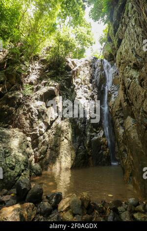Wasserfall, der seinen Weg in einen Teich im Regenwald Stockfoto
