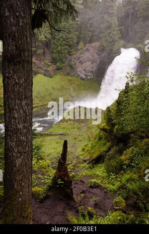 Sahalie Falls McKenzie River National Recreation Trail Natur Landschaft Stockfoto