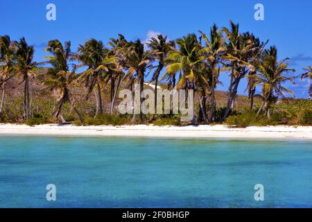 Küstenfelsen in der blauen Lagune Entspannen Sie sich auf isla contoy mexiko Stockfoto