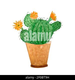Aquarell Kaktus Kakteen Sukkulente in Keramik-Topf. Topfhaus grün natürliche Pflanzen exotische tropische Blumen. Inneneinrichtung botanische Illustration lebendige Design drucken Stockfoto