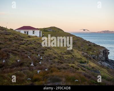 Cape Brett Lighthouse und Cape Brett Hut in Rawhiti New Seeland Stockfoto