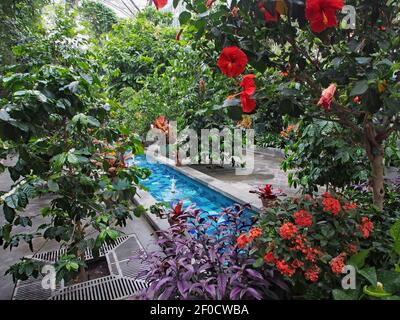 Washington, DC - 10. Juni 2014: Ausstellung des Japanischen Gartens im Botanischen Garten der Vereinigten Staaten, neben dem Kapitolgebäude. Stockfoto