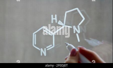 Zeichnung der chemischen Struktur von Nikotin auf das Glas mit einem weißen Marker. Stockfoto