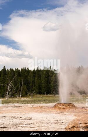 Rosa Kegel Geysir ausbrechen Yellowstone Nationalpark Wyoming Stockfoto