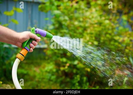 Bewässerung Garten arbeiten aus Schlauch Stockfoto