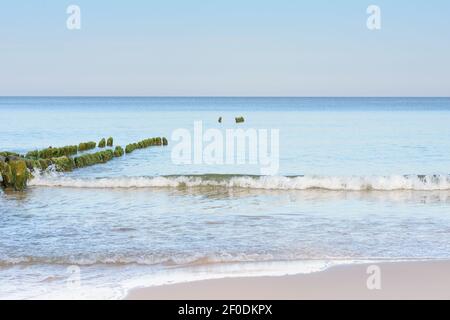 Ostsee bei Sonnenuntergang. Alte Holzstapel Wellenbrecher im Wasser. Schöne Meereslandschaft, Entspannung und Ruhe. Selektiver Fokus. Stockfoto