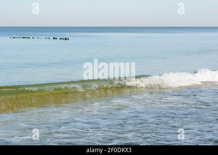 Sanfte Welle der Brandung mit weißem Schaum rollt über die Küste. Seascape am Abend, Reisestimmung. Stockfoto