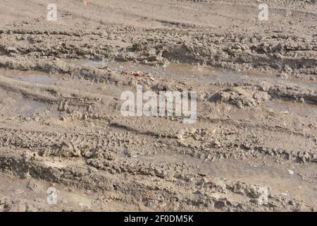 Spuren von Autoreifen in flüssigem Schlamm auf der Straße im Frühjahr. Hindernis beim Fahren. Sonnenlicht, selektiver Fokus. Stockfoto