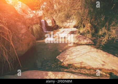 David Stream in ein Gedi Reserve, Israel Stockfoto