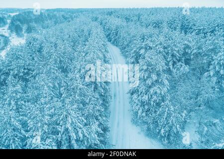 Verschneite Wälder. Pinien mit Schnee bedeckt. Winter Natur. Weihnachten Hintergrund. Luftaufnahme. Blick von oben auf verschneite Landstraße im Wald Stockfoto