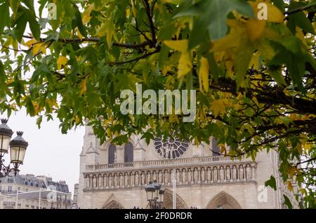 Details der Kathedrale Notre Dame de Paris. Paris. Frankreich. Ein sagenumwobenes Wesen auf dem Dach der Kathedrale Notre Dame de Paris. Blick auf den Turm. Stockfoto