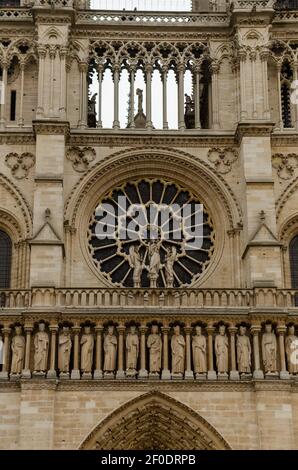 Details der Kathedrale Notre Dame de Paris. Paris. Frankreich. Ein sagenumwobenes Wesen auf dem Dach der Kathedrale Notre Dame de Paris. Blick auf den Turm. Stockfoto