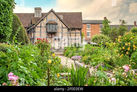 Der Garten von Shakespeares Geburtsort wo er 1564 in Stratford-upon-Avon, England geboren Stockfoto