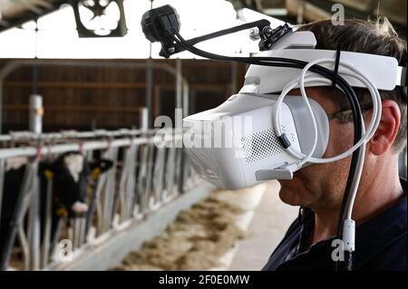 DEUTSCHLAND, echem, Smart Milk cow Milk Farm, Digitalisierung der Landwirtschaft, digitale Kuhbrillen zur Simulation und Analyse der Kuhwahrnehmung / DEUTSCHLAND, Landwirtschaftliche Bildungszentrum (EBZ) in echem, Digitalisierung im Kuhstall und Melkstand, Digitale Kuhbrille, Simulation und Analyse der Wahrnehmung der Kuh Stockfoto