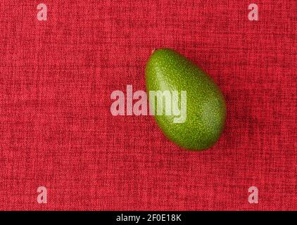 Avocado. Die reife Frucht ist grün, auf rotem Hintergrund, isoliert, Nahaufnahme. Stockfoto